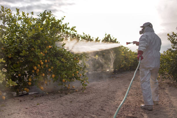 Professional Pest Control in Aristocrat Ranchettes, CO